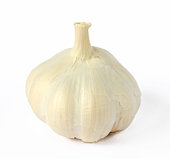 Head of garlic