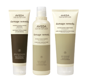 damage remedy aveda