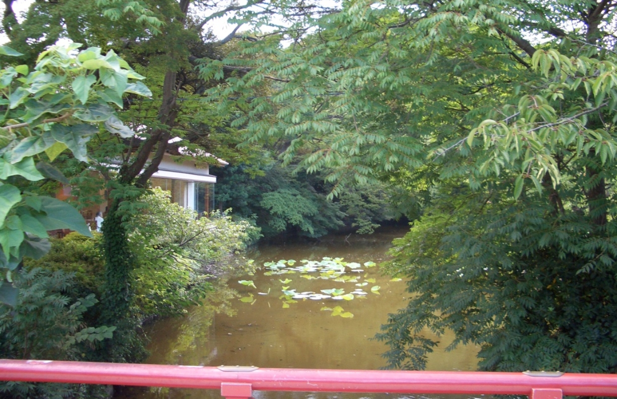 #JAPANESEWEEK Entre foule immense et sérénité