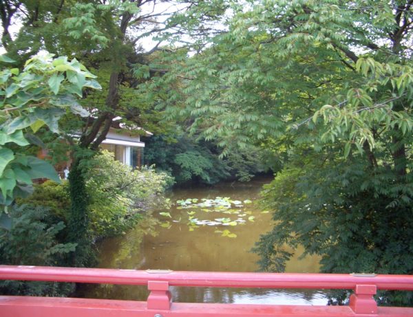 #JAPANESEWEEK Entre foule immense et sérénité