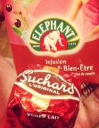 Solange Knowles en Gucci…. Wanted !