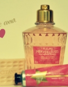 En 2013, on a de jolies dents blanches et saines ! Brosse à dents à ultra-son (oui, oui), ou électrique ?