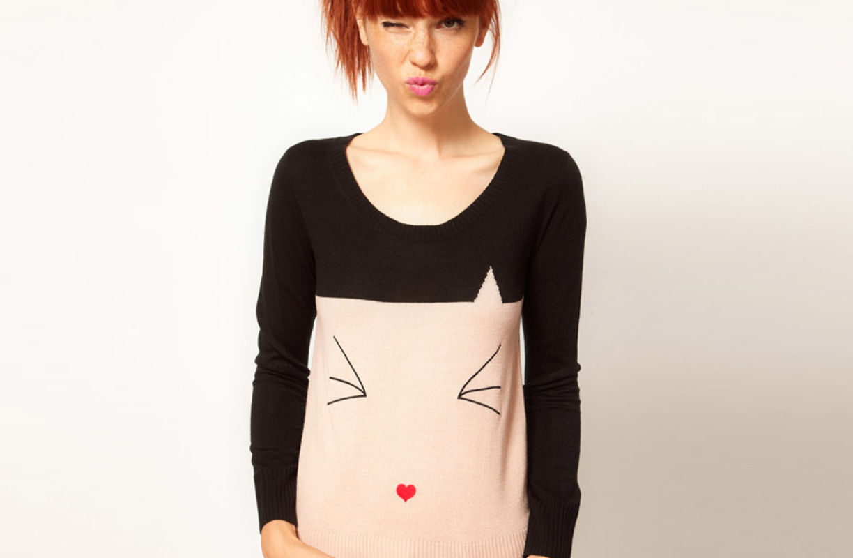 Le plus beau pull de cat lover (ou dog lover, ou music lover)