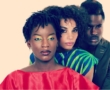 Natural Hair Academy, édition 2013 – Tout ce que vous avez toujours voulu savoir sur les cheveux crépus, frisés et secs