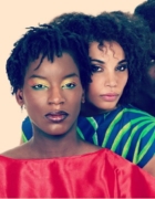 Natural Hair Academy, édition 2013 – Tout ce que vous avez toujours voulu savoir sur les cheveux crépus, frisés et secs