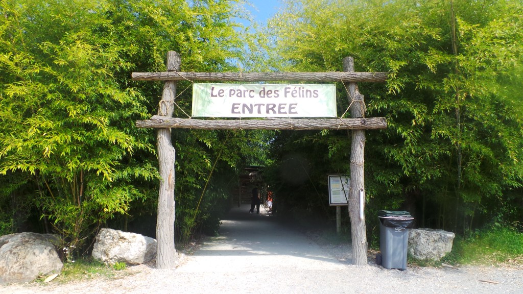 accueil_parc_des_felins