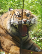 Rayonnez c’est l’été avec Monoprix : THE coffret