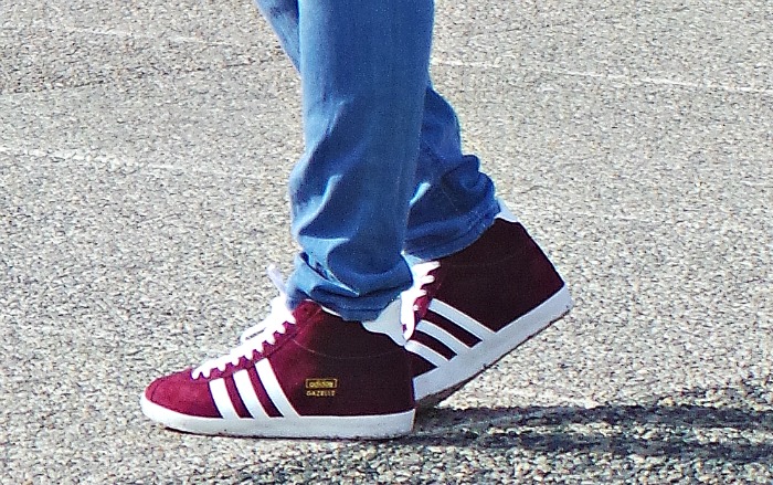 gazelle adidas montante