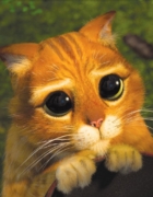 Nouveauté Beauté : J’ai testé la Miracle Sleeping Crème de Garnier !