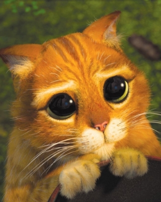 Les gagnants : Netflix, Bellemont, Hapsatou Sy et Pixl, Phyto Specific, et Waaf !