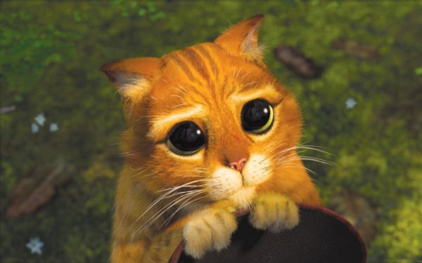 Les gagnants : Netflix, Bellemont, Hapsatou Sy et Pixl, Phyto Specific, et Waaf !