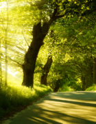 Le Père Frimas – Joli conte de Noel pour les 3-6 ans