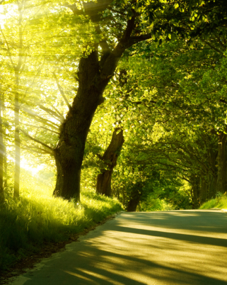 Ce que j’ai appris en 8 années de blog ! (et après…)