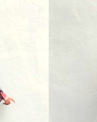 La robe Zara (à fleurs)