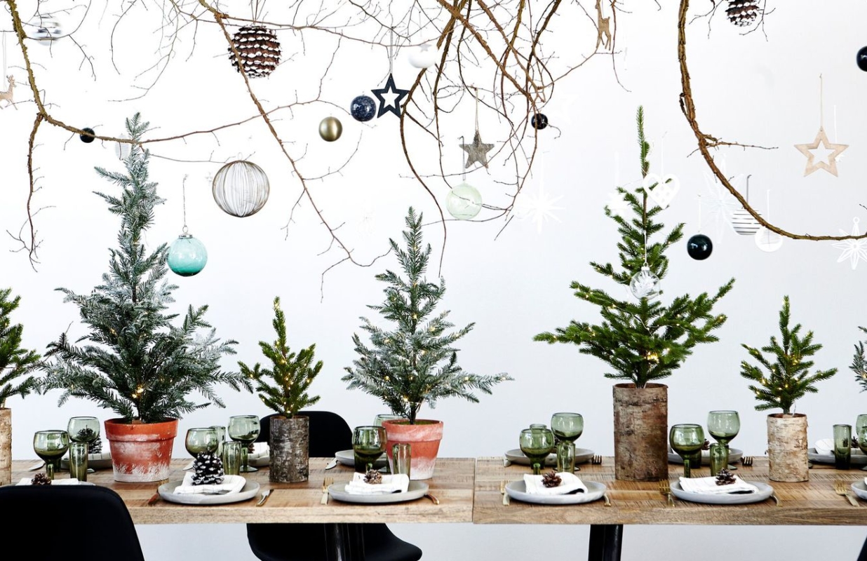 Mon menu de Noël végétarien