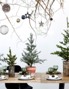 Ma beauté box idéale ou le chouette cadeau de Noël !