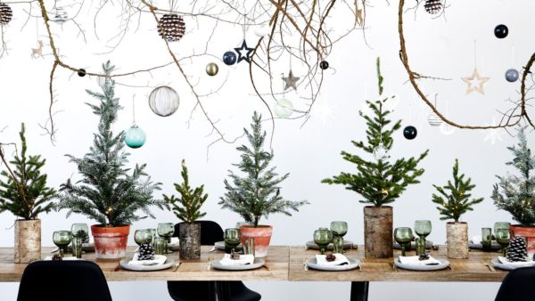 Mon menu de Noël végétarien