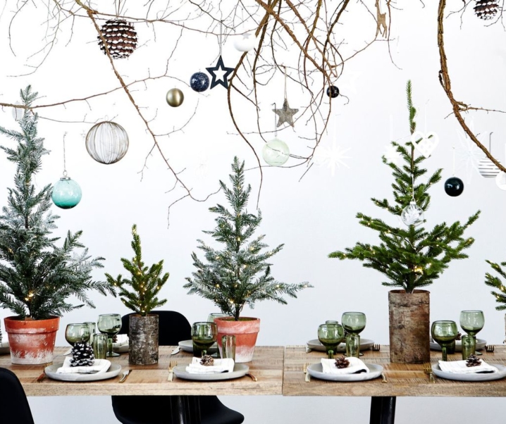 Mon menu de Noël végétarien