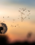 Tracee Ellis Ross lance sa marque de soin capillaire : Pattern