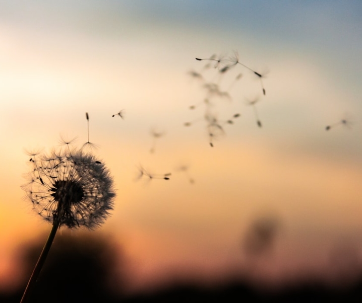 Pas de bonnes résolutions pour la rentrée !