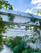 Comment bien choisir les chaussures de ses enfants ?