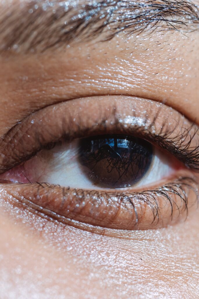 Focus sur un oeil de femme avec cils et sourcils.